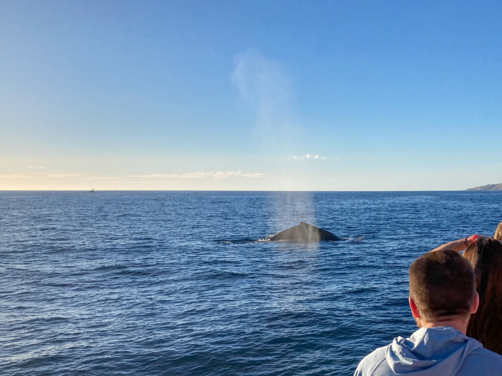 Cabo San Lucas