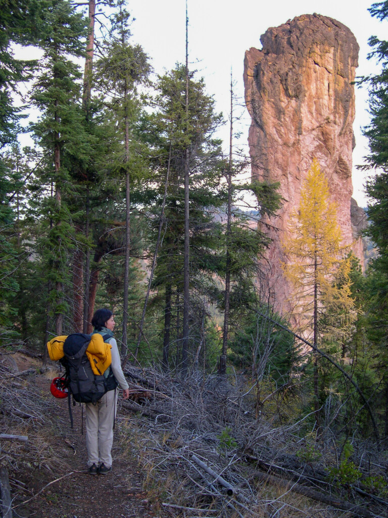 Steins Pillar - Northeast Face