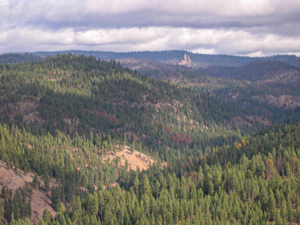 Steins Pillar - Northeast Face