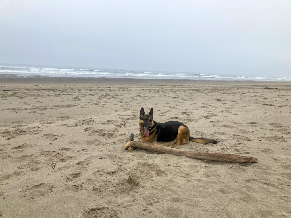 Neskowin Beach