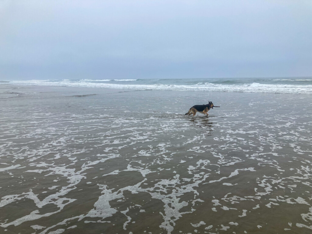 Neskowin Beach