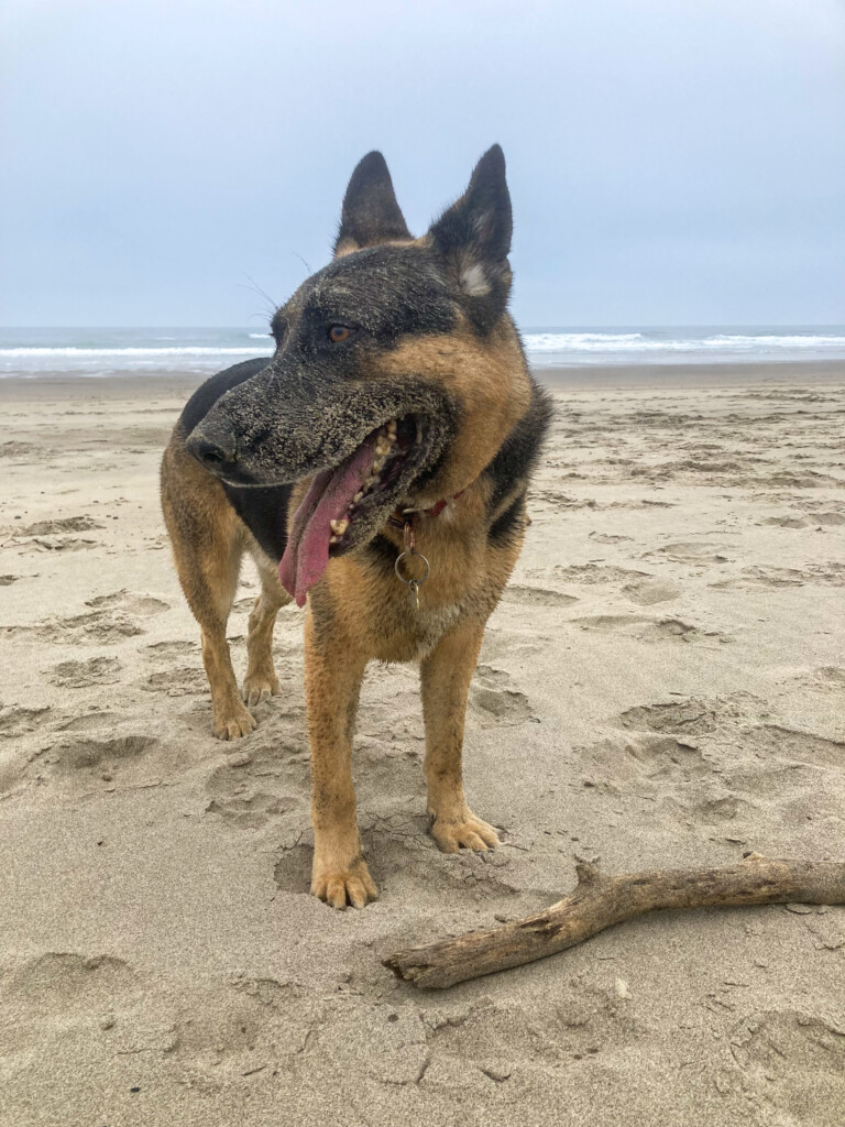 Neskowin Beach