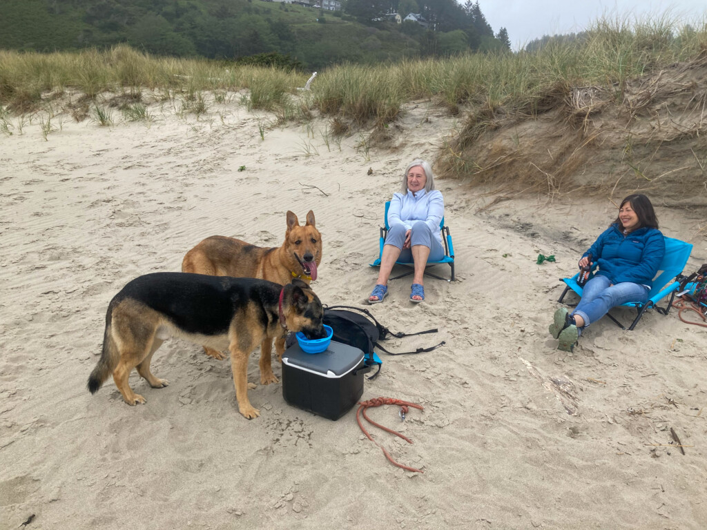 Neskowin Beach