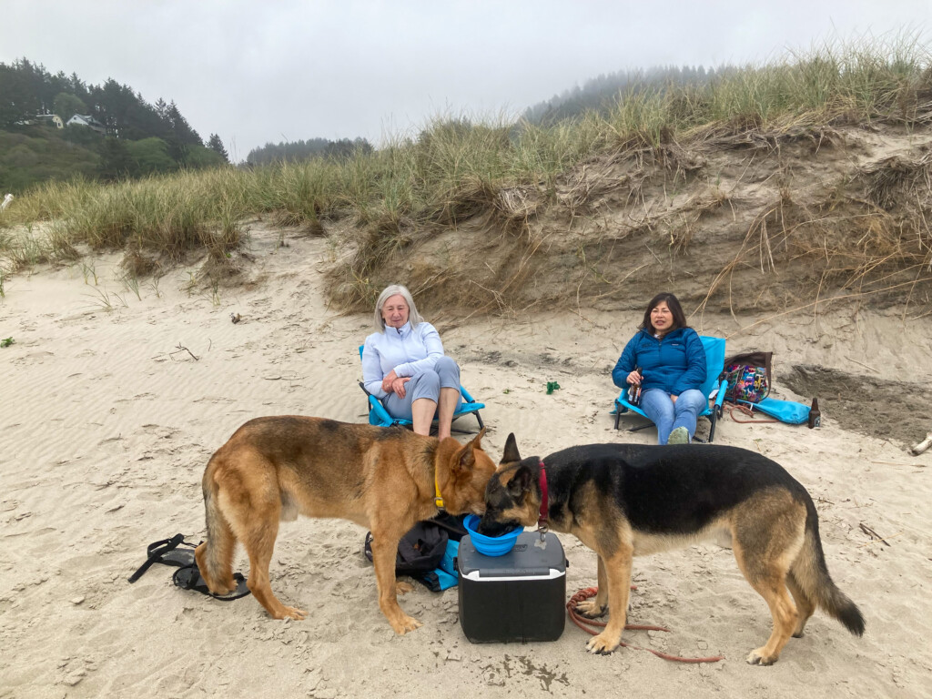 Neskowin Beach