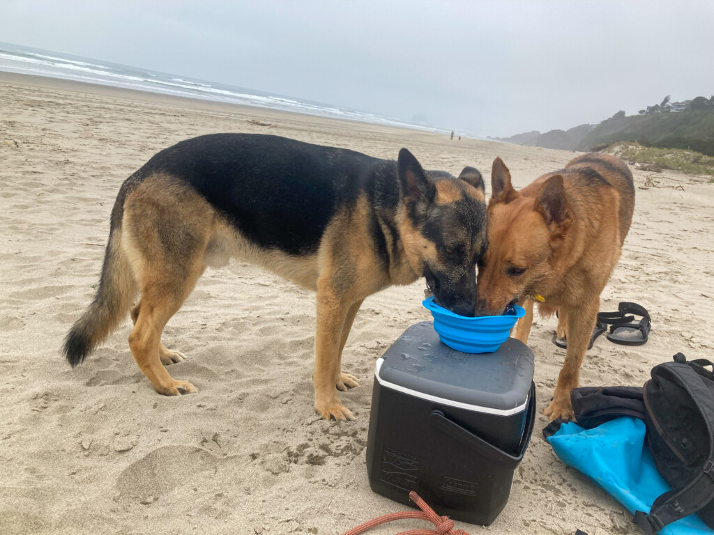 Neskowin Beach