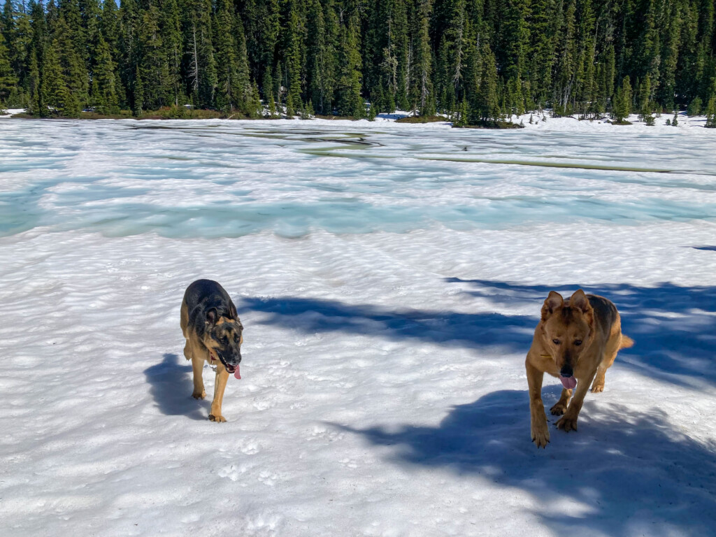 Junction Lake