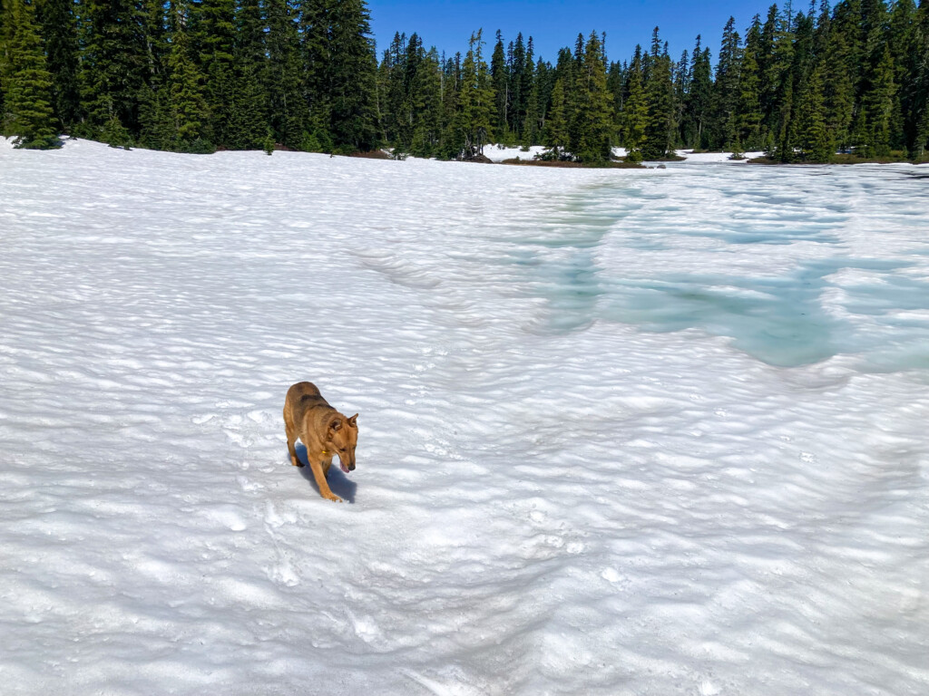 Junction Lake