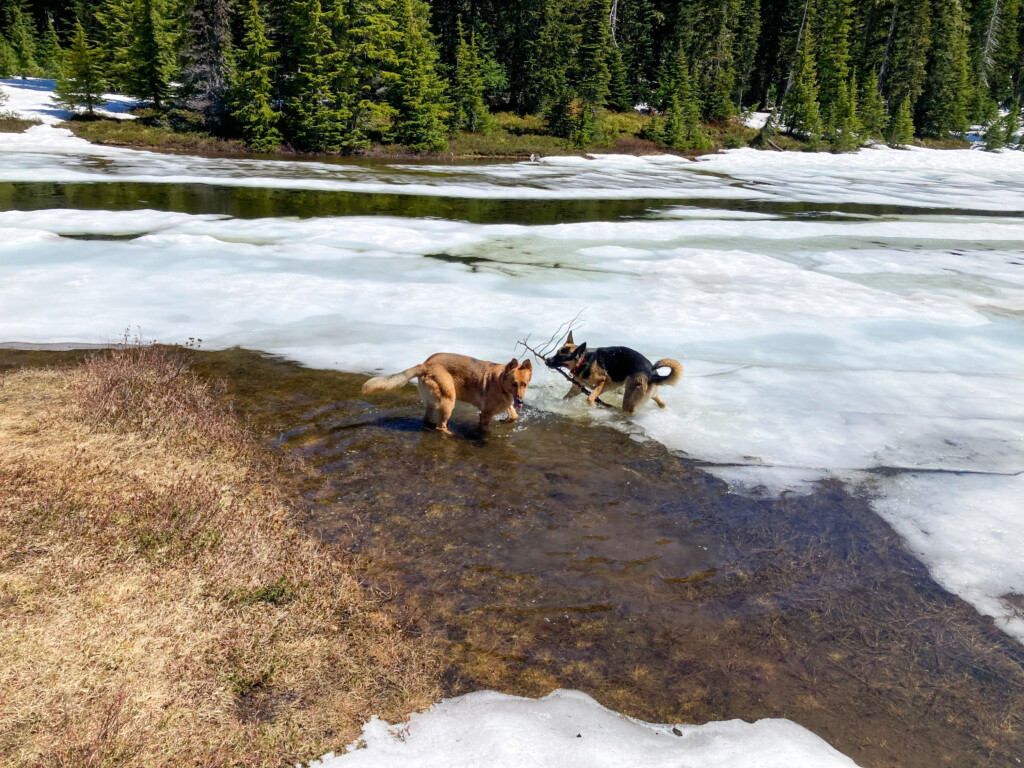 Junction Lake