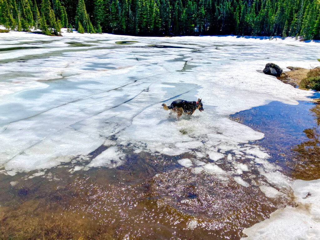 Junction Lake