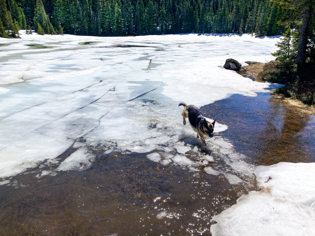 Junction Lake