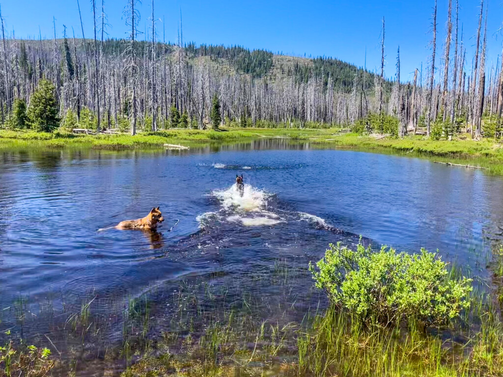 Patjens Lakes