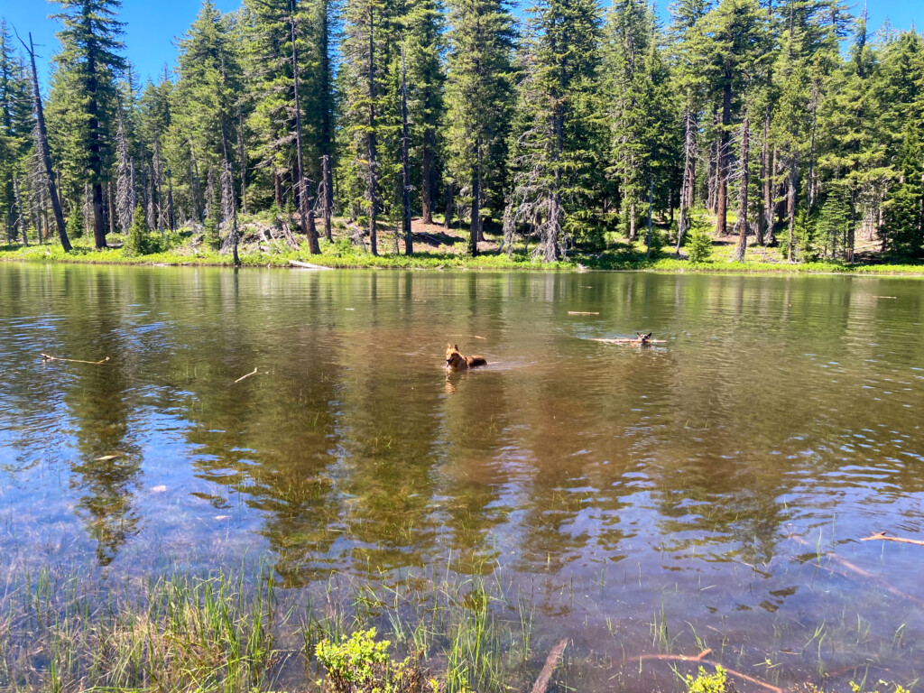 Patjens Lakes