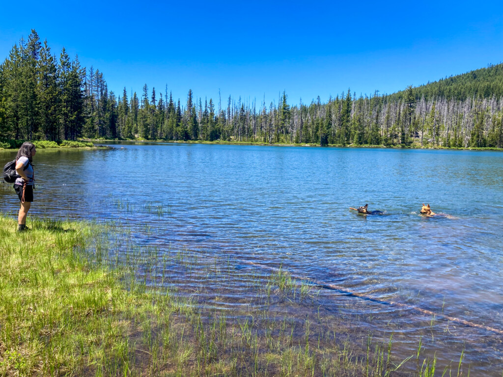 Patjens Lakes