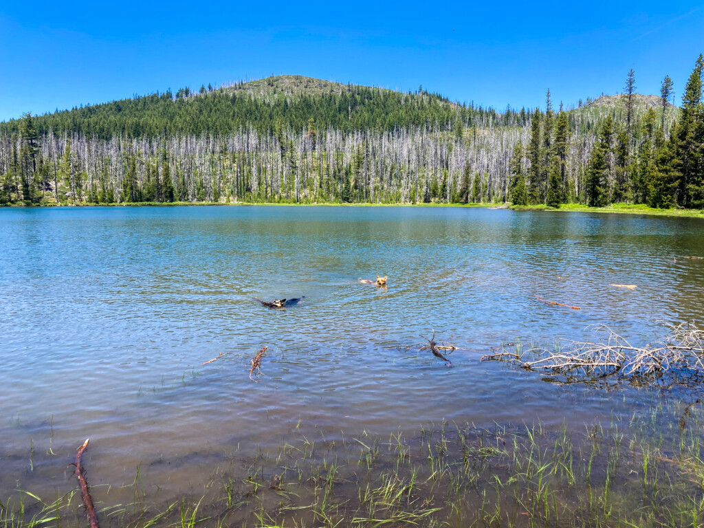 Patjens Lakes