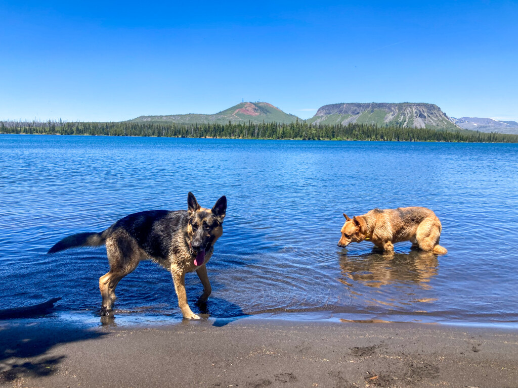 Patjens Lakes