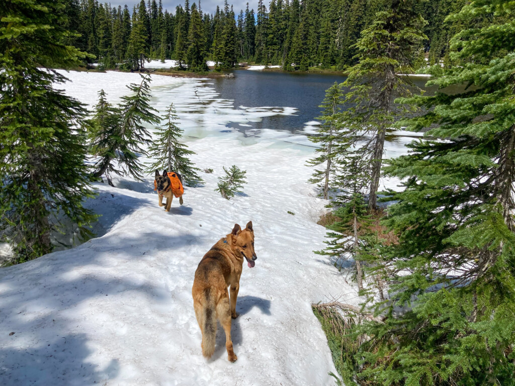 Junction Lake