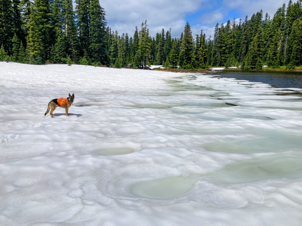 Junction Lake