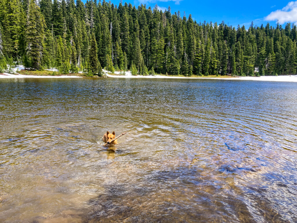 Junction Lake