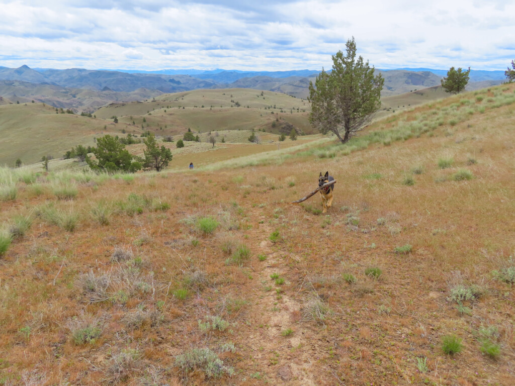 Spring Basin