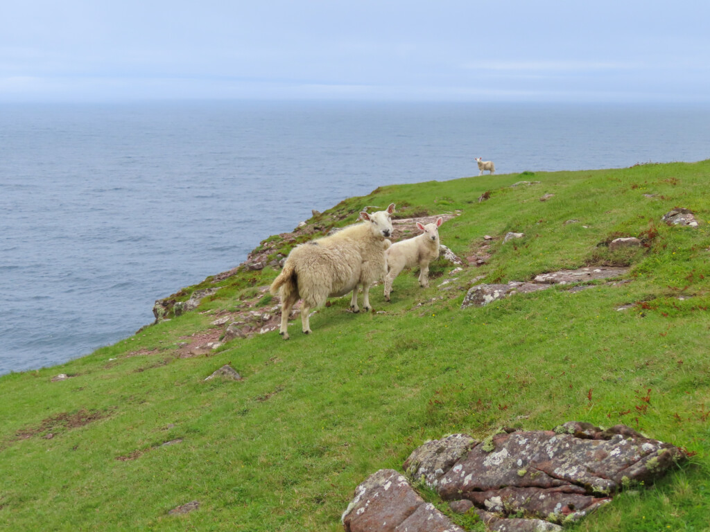 Old Man Of Stoer