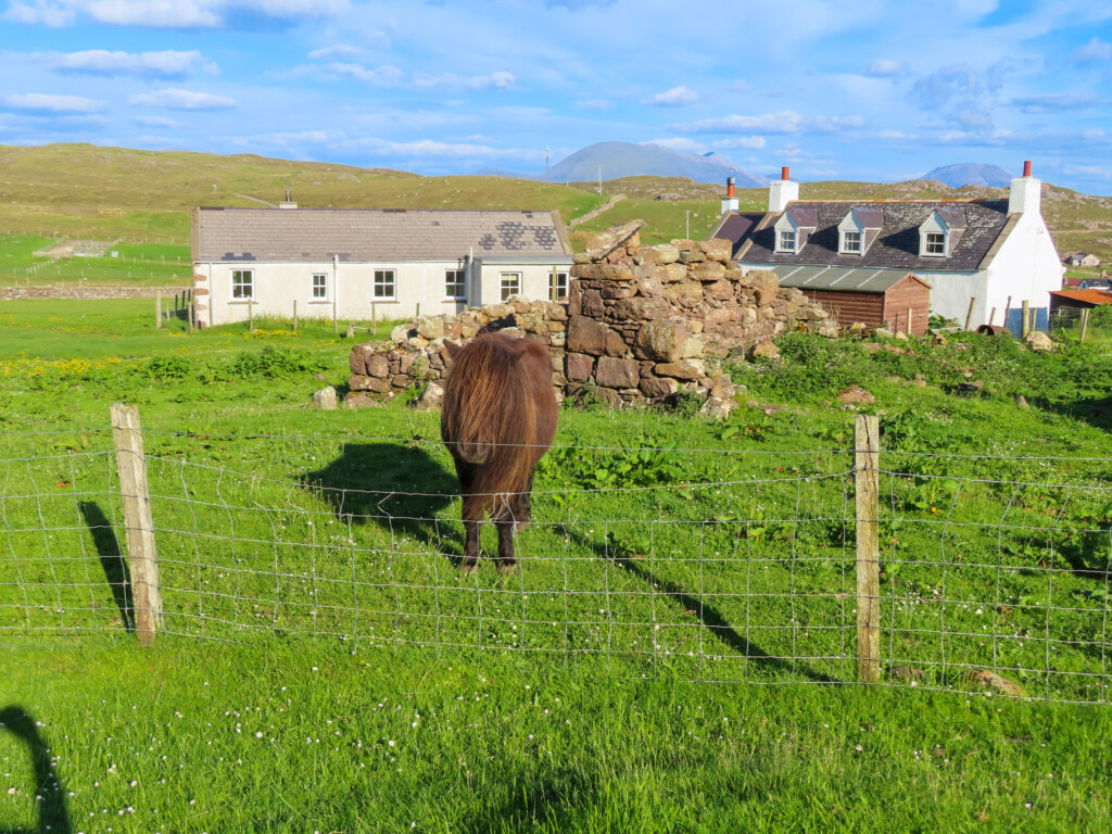 Am Buachaille