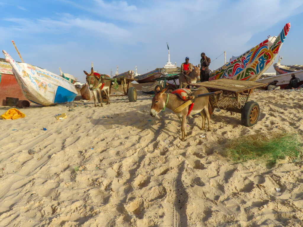 Nouakchott