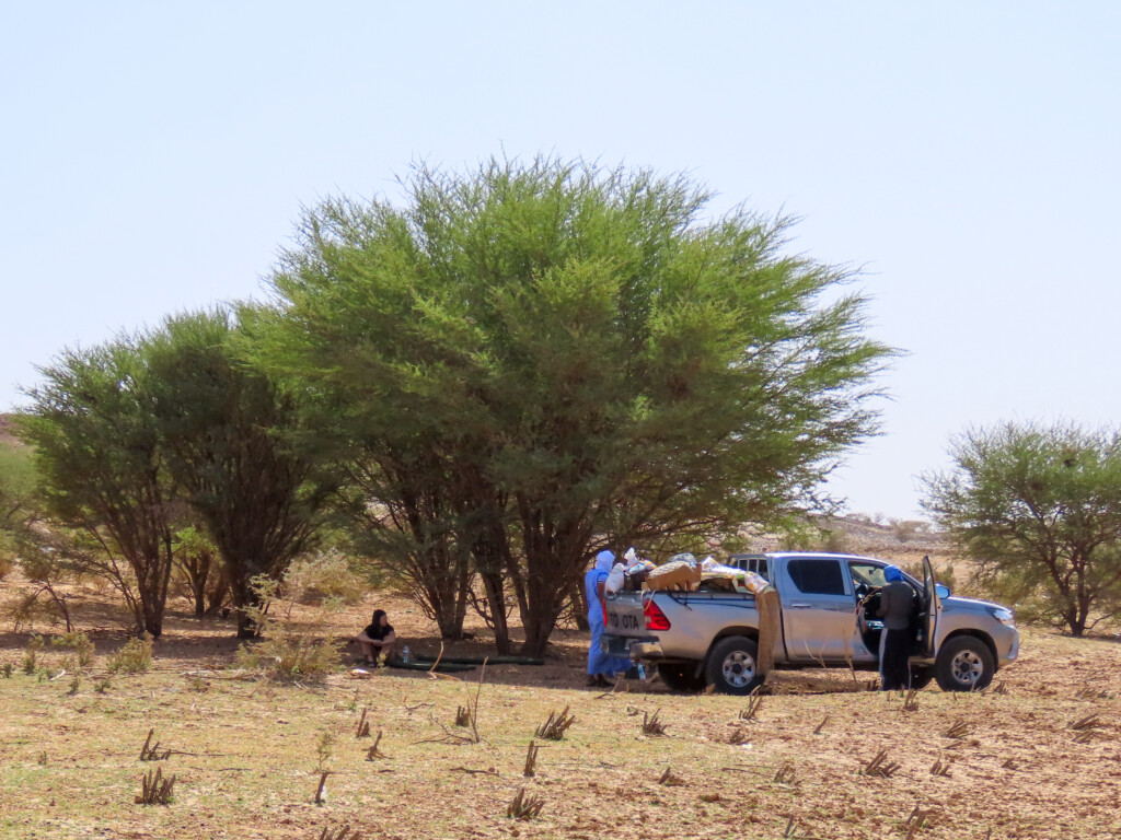 Mauritania