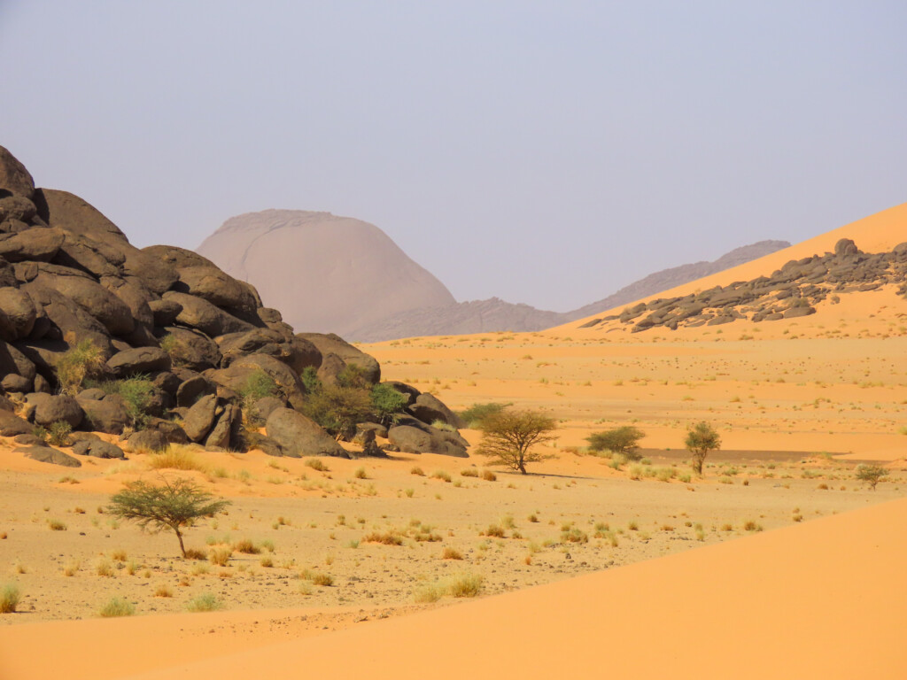 Mauritania