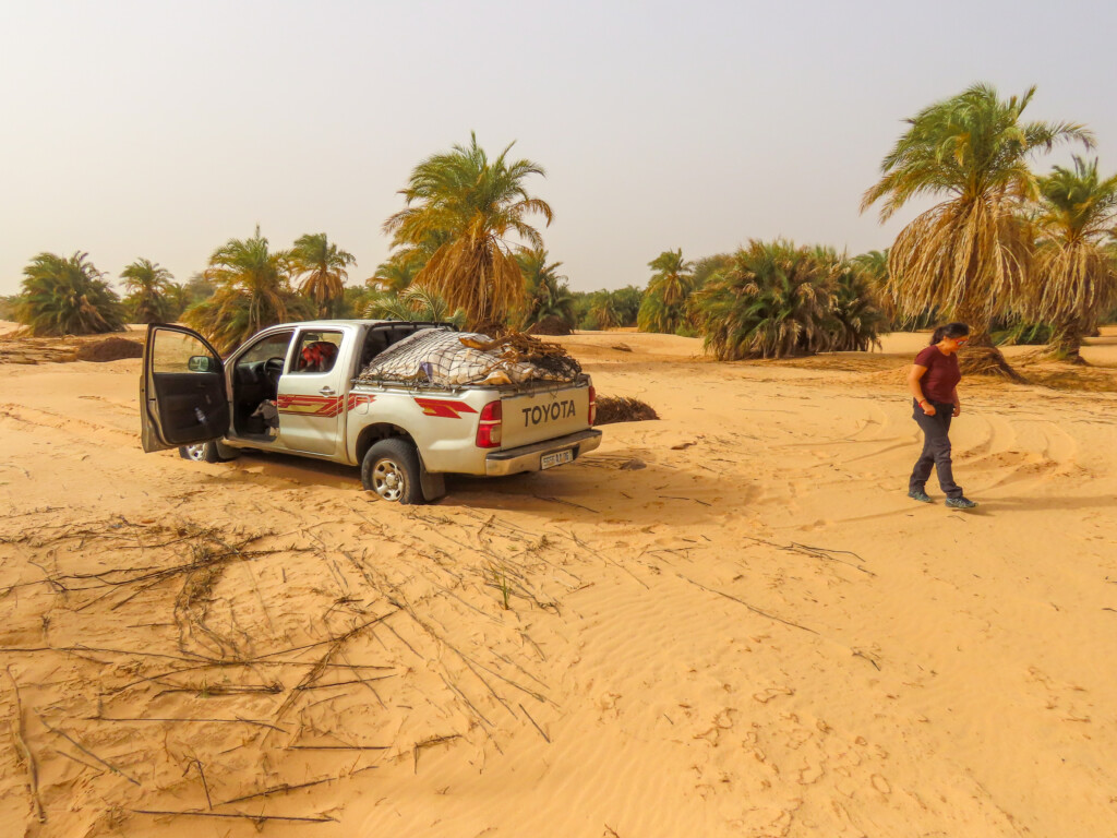 Azouega Dune