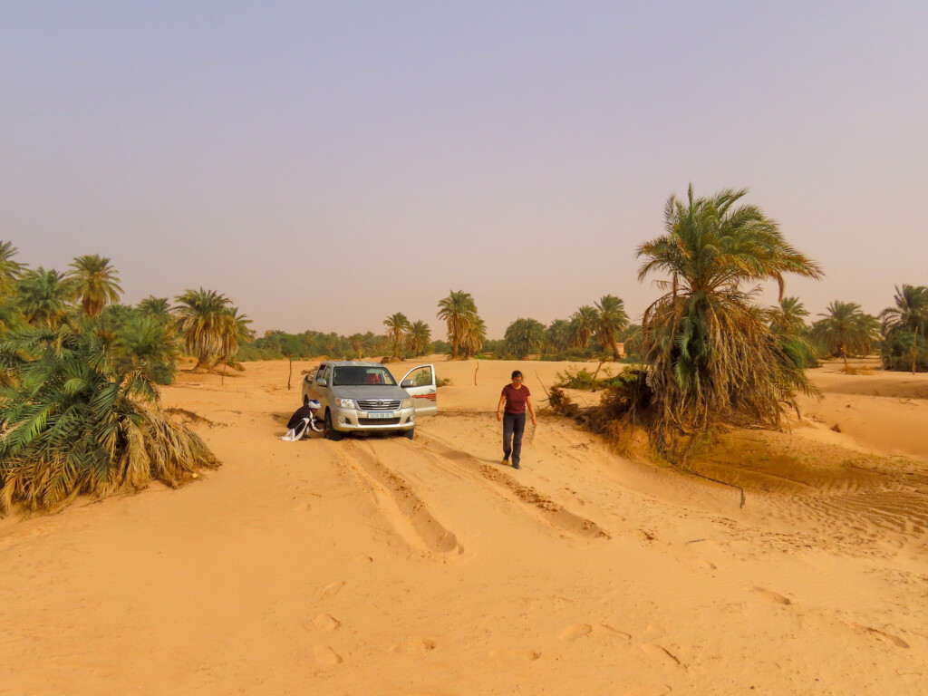 Azouega Dune