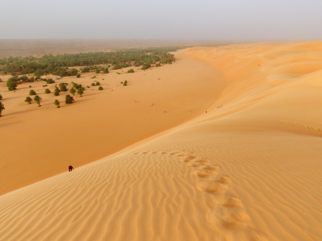 Azouega Dune