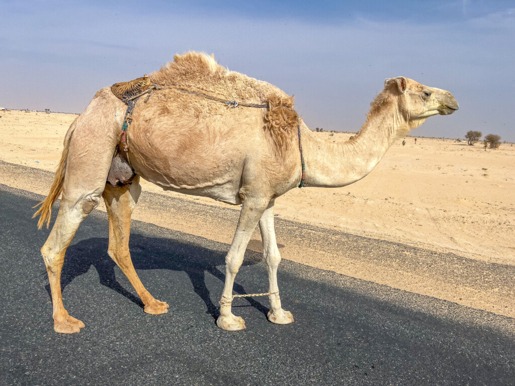 Mauritania