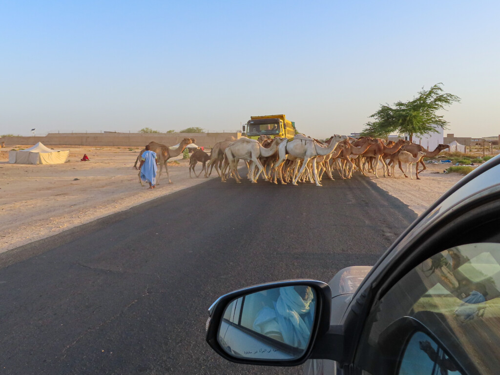 Mauritania