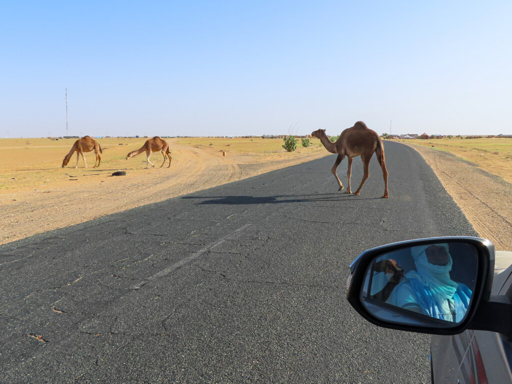 Mauritania