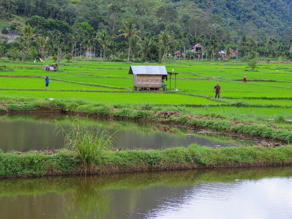 Harau Valley