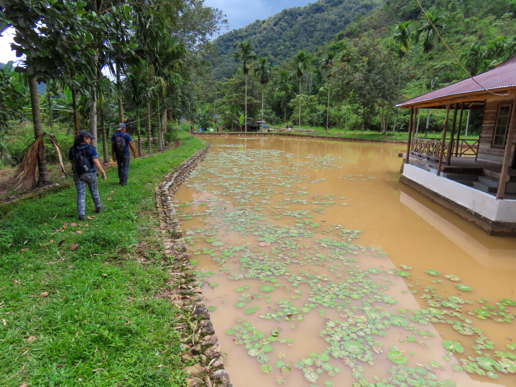Harau Valley