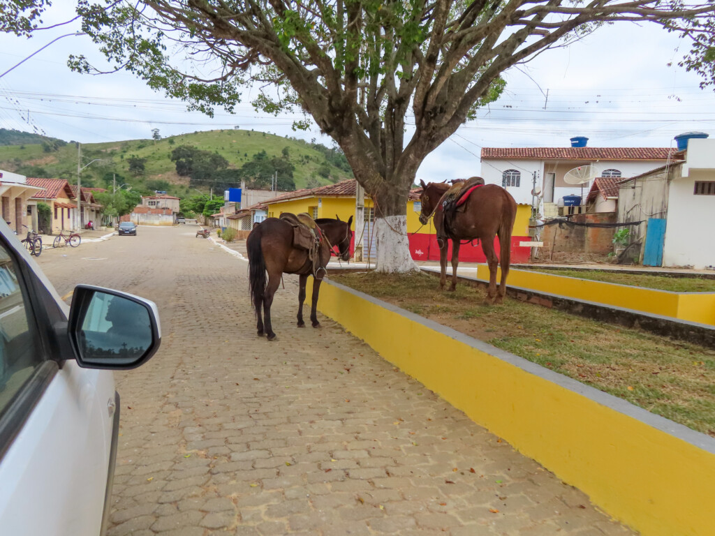Minas Gerais