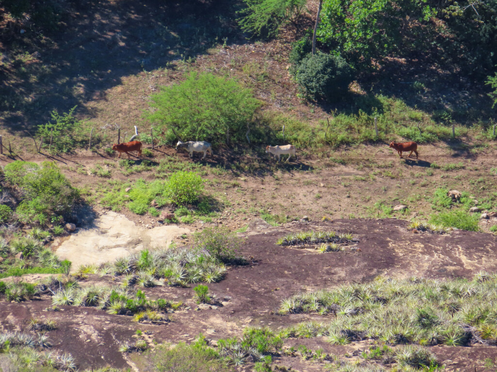 O Pagador de Promessas