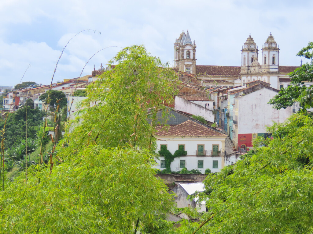 Salvador